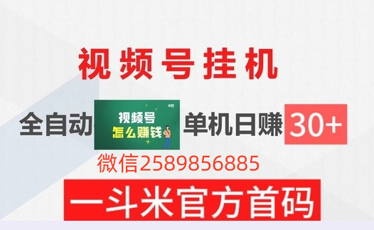 一斗米视频号G机，24小时操作官方招募，一手价格助你起飞 - 首码项目网-首码项目网