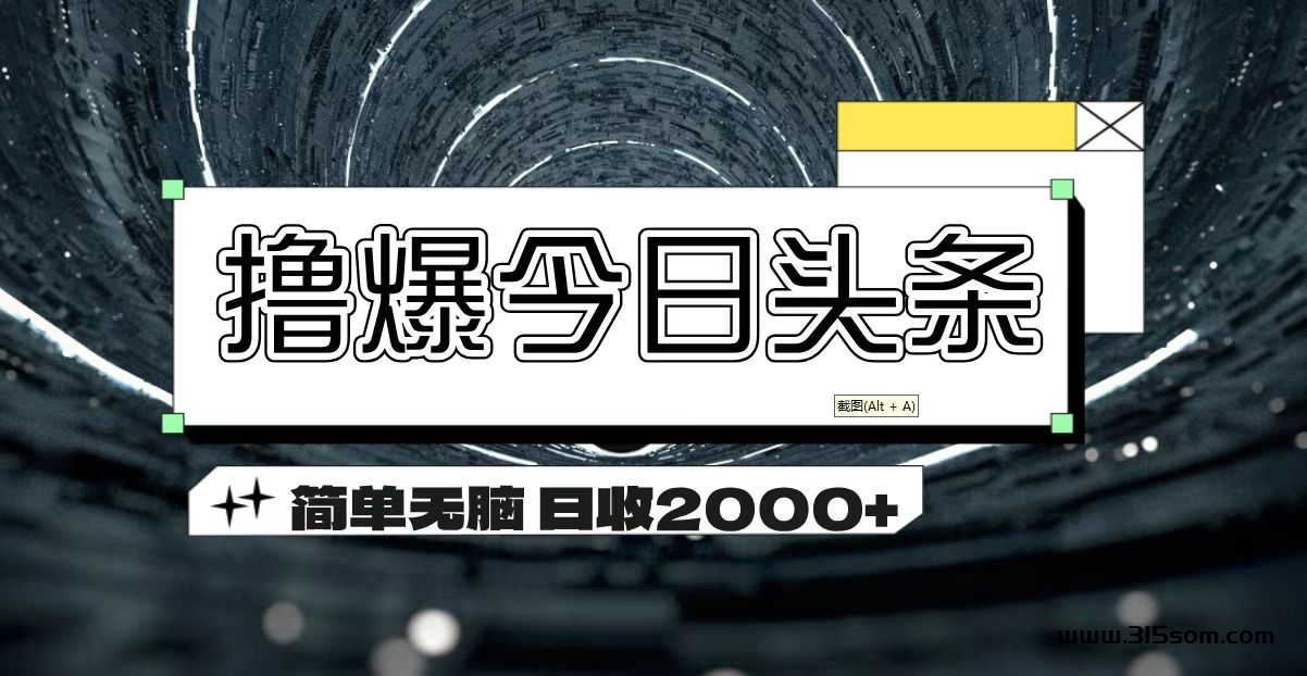 撸爆今日头条 无脑操作 日收入2000➕ - 首码项目网-首码项目网