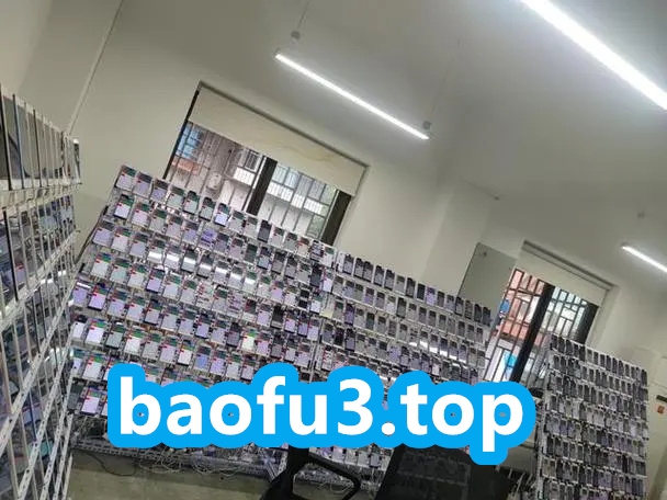 baofu6.top-首码项目网