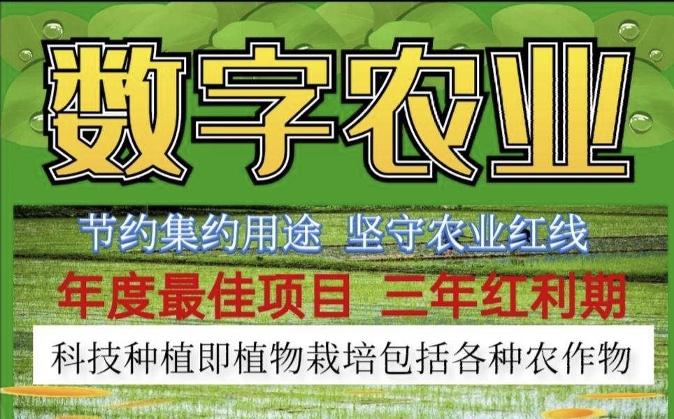 阿里巴巴数字农业投资项目：智慧农业的财富新机遇 - 首码项目网-首码项目网