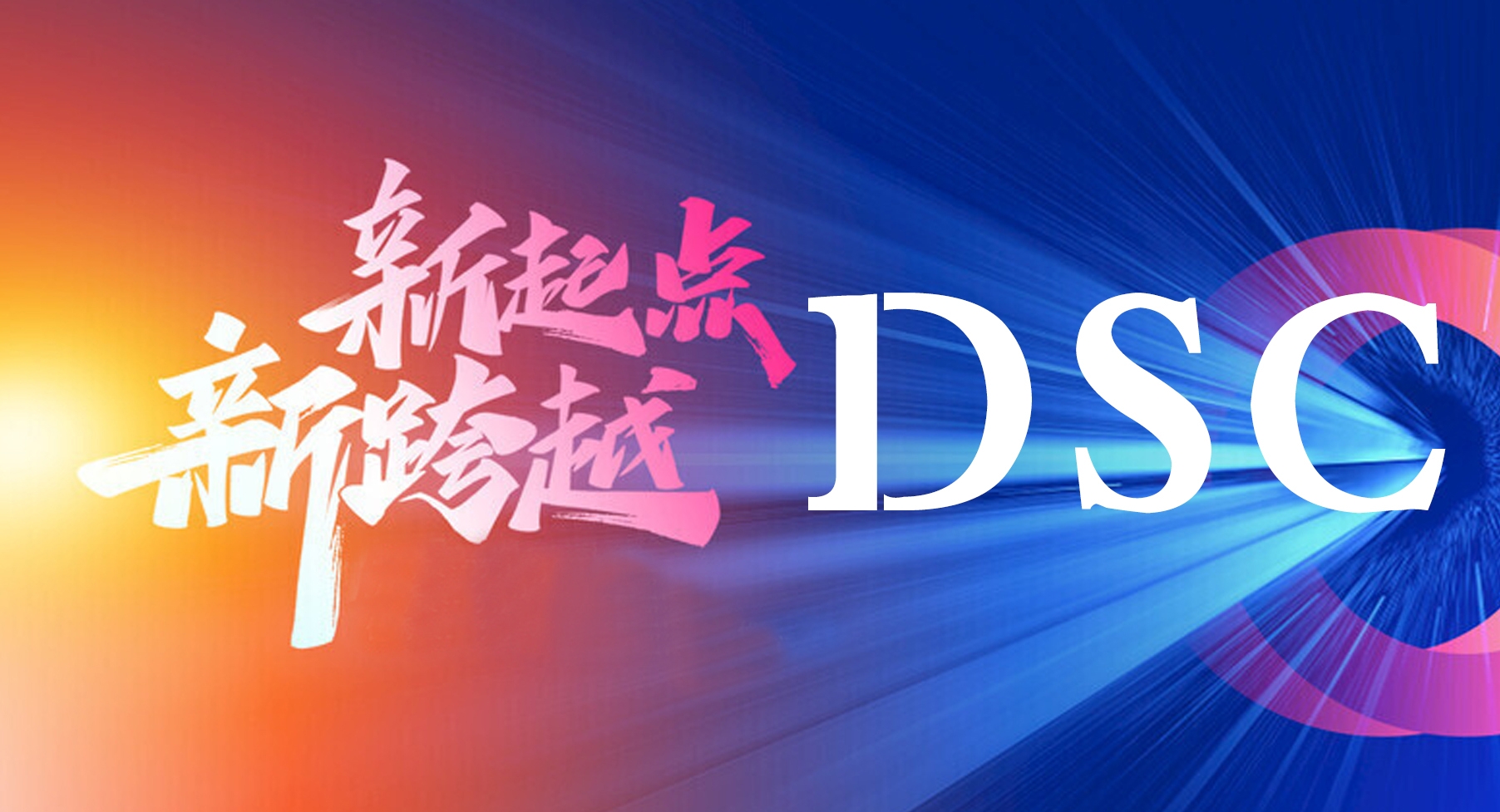 DSC，零广告、零任务、长久稳定，数据公开透明 - 首码项目网-首码项目网